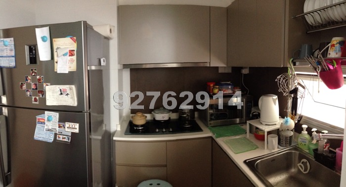 Blk 275A Natura Loft (Bishan), HDB 4 Rooms #533852